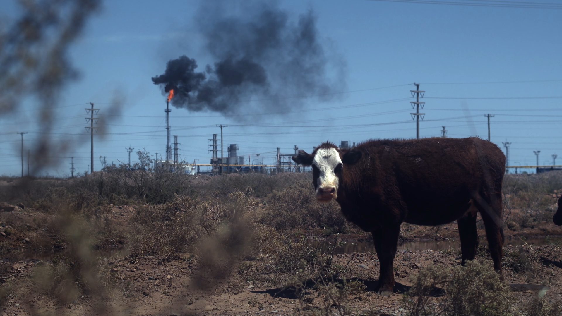 Geonnitus — instalación audiovisual sobre el fracking