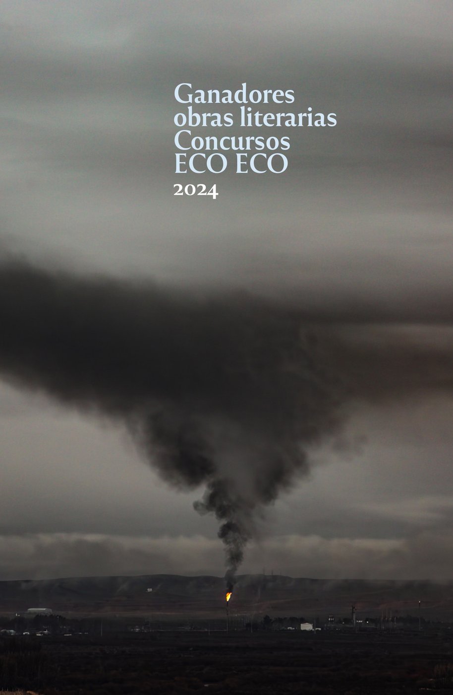 Obras literarias concurso 2024