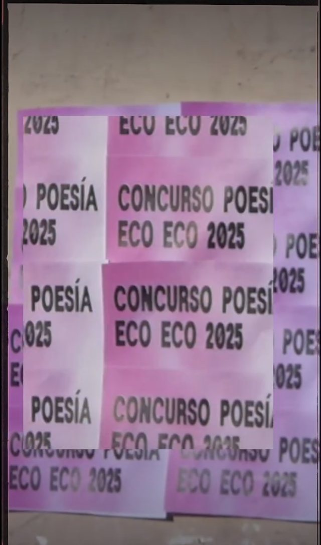 Reel 9 — Proyecto ECO ECO